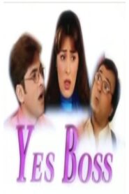 Yes Boss 1999 on netflix
