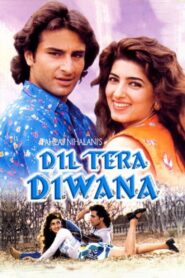 Dil Tera Diwana 1996 on netflix