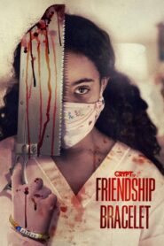Friendship Bracelet 2018 on netflix