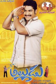 Naa Alludu 2005 on netflix