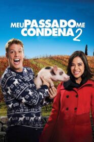 Meu Passado Me Condena 2: O Filme 2015 on netflix