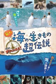 驚き!海の生きもの超伝説 劇場版ダーウィンが来た! 2021 on netflix
