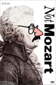 Not Mozart: Letters, Riddles and Writs 1991 on netflix
