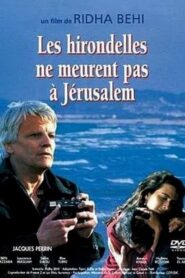 Swallows Never Die in Jerusalem 1994 on netflix
