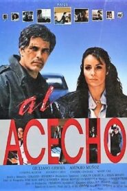 Al acecho 1987 on netflix