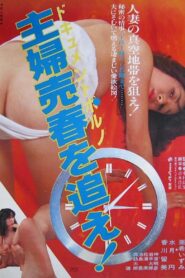 Document porno: Shufu baishun o oe! 1982 on netflix