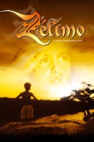Zelimo 2001 on netflix