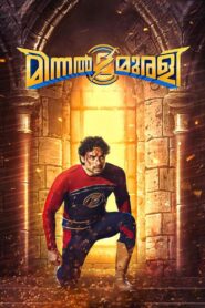 Minnal Murali 2021 on netflix