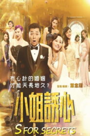 S for Sex, S for Secrets 2014 on netflix