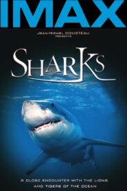 Sharks 3D 2004 on netflix