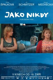 Jako nikdy 2013 on netflix