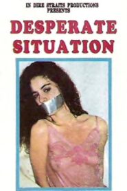 Desperate Situation 1995 on netflix