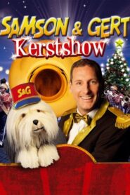 Samson & Gert Kerstshow: Samson Teevee (2011-2012) 2011 on netflix
