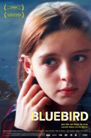 Bluebird 2004 on netflix