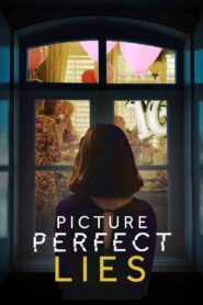 Picture Perfect Lies 2021 on netflix