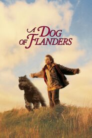 A Dog of Flanders 1999 on netflix