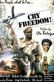 Cry Freedom 1981 on netflix