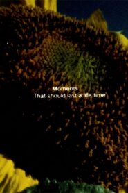 Illuminated Texts 1982 on netflix