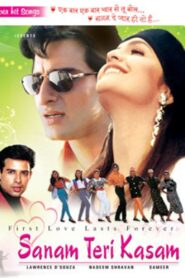 Sanam Teri Kasam 2009 on netflix