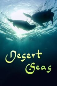 Desert Seas 2011 on netflix