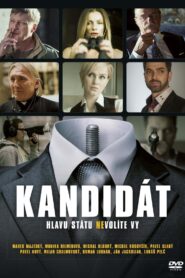 The Candidate 2013 on netflix