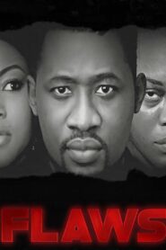 Flaws 2016 on netflix