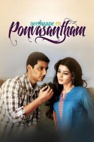 Neethaane En Ponvasantham 2012 on netflix