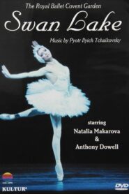 Swan Lake 1982 on netflix