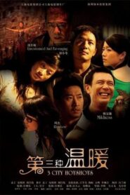 3 City Hotshots 2006 on netflix