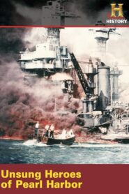 Unsung Heroes of Pearl Harbor 2001 on netflix