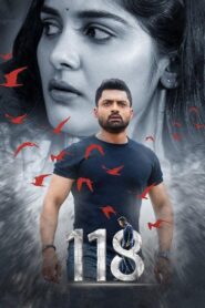 118 2019 on netflix