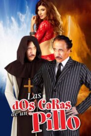 Las dos caras de un pillo 1992 on netflix