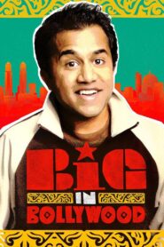 Big in Bollywood 2011 on netflix