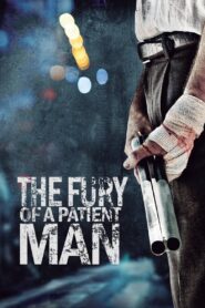 The Fury of a Patient Man 2016 on netflix