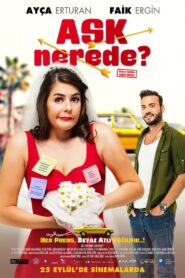 Aşk Nerede? 2015 on netflix