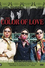 The Color Of Love 2004 on netflix