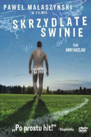 Flying Pigs 2010 on netflix