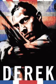 Derek 2008 on netflix