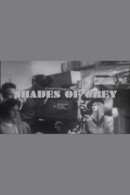 Shades of Grey 2009 on netflix