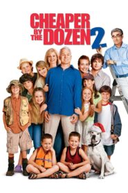 Cheaper by the Dozen 2 2005 on netflix