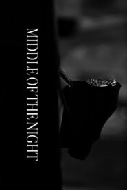 Middle of the Night 2015 on netflix