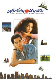A Very Romantic Story in the Very Big City 1989 on netflix