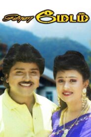 Chinna Madam 1994 on netflix