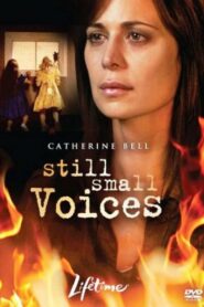 Still Small Voices 2007 on netflix