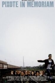 Pixote In Memoriam 2007 on netflix