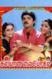 Kalyana Vaibhogam 1997 on netflix