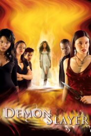 Demon Slayer 2003 on netflix