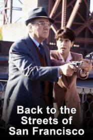 Back to the Streets of San Francisco 1992 on netflix
