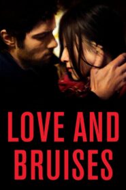 Love and Bruises 2011 on netflix