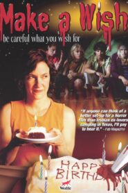 Make a Wish 2002 on netflix